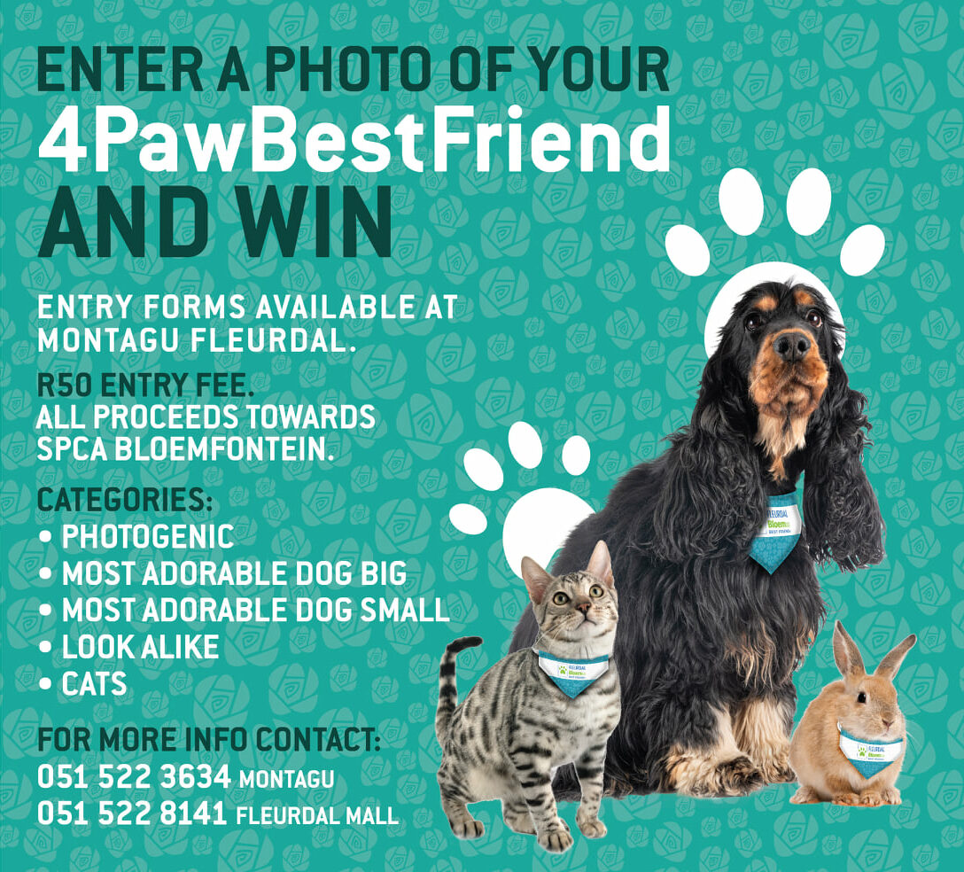 Competitions at Fleurdal Mall Fleurdal Mall